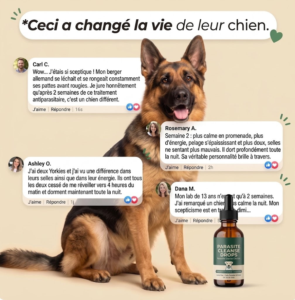 Amélioration en 2 semaines