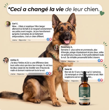 Amélioration en 2 semaines