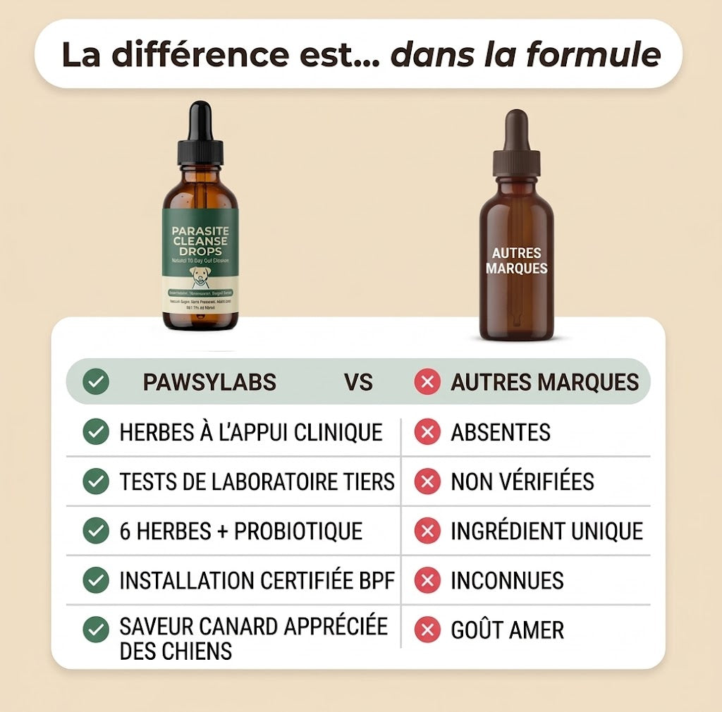 Amélioration en 2 semaines