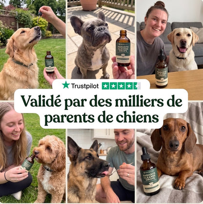 Amélioration en 2 semaines