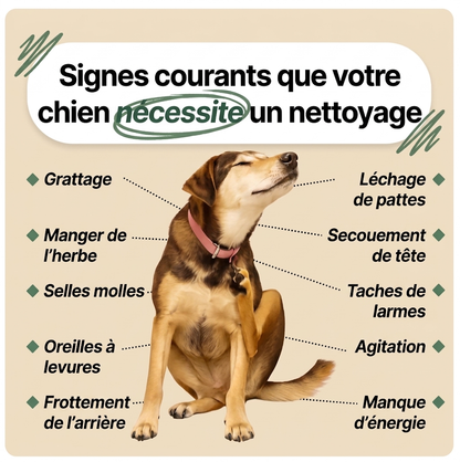 Amélioration en 2 semaines