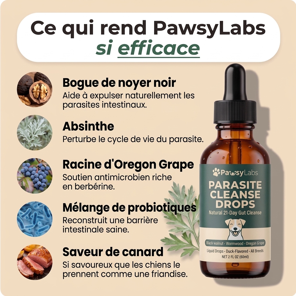 Amélioration en 2 semaines