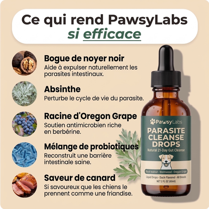 Amélioration en 2 semaines