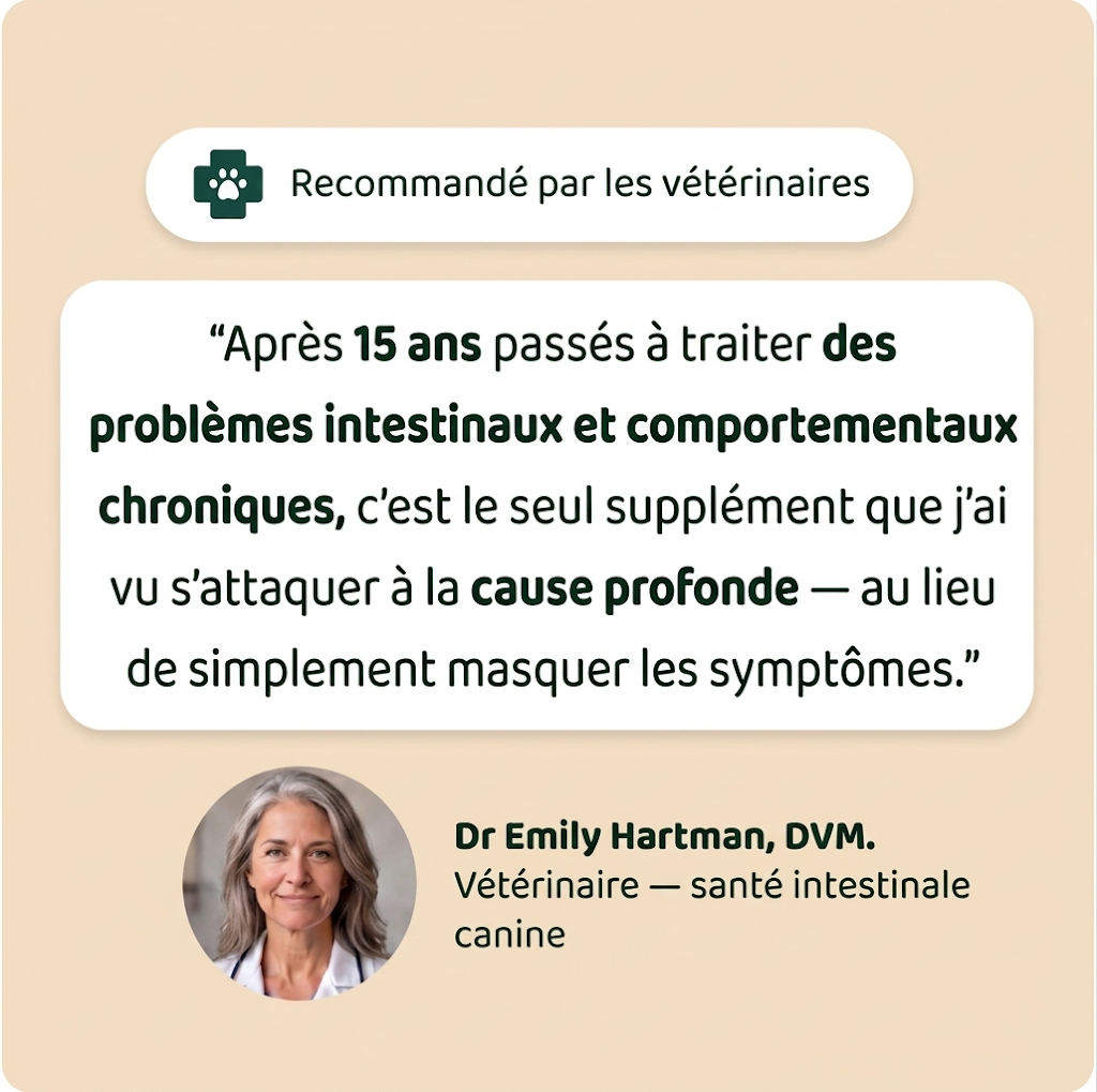 Amélioration en 2 semaines